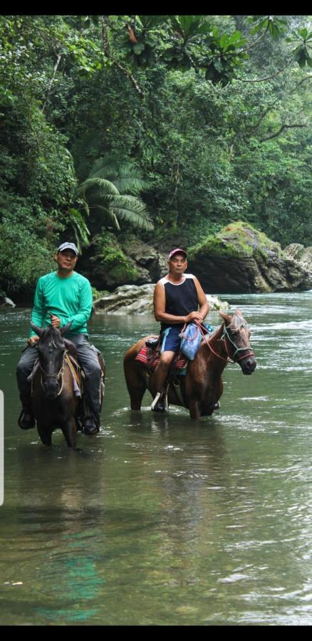 Rainforest Lodge Del Rio Portobelo Buitenkant foto