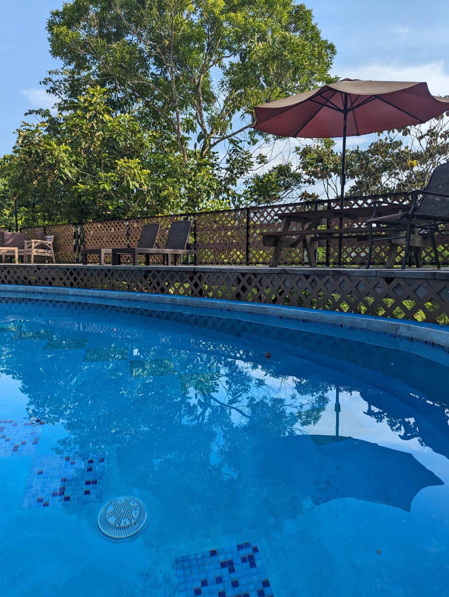 Rainforest Lodge Del Rio Portobelo Buitenkant foto